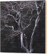 Ghost Tree Wood Print