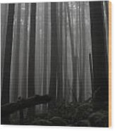 Ghostly Forest Wood Print