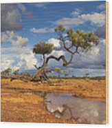 Gidgee Trees And Waterhole Queensland Wood Print