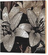 Gilded Lilies Wood Print