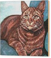 Ginger Tabby Wood Print