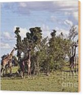 Giraffe Picnic Wood Print