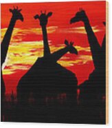 Giraffes Sunset Africa Serengeti Wood Print