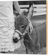 Girl And Baby Donkey Wood Print