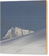 Glacier Ice On Melchior Islands Wood Print