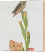 Glad Hummingbird Wood Print