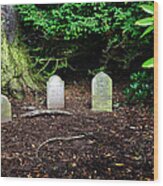Glamis Pet Cemetery Wood Print