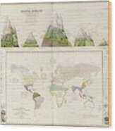 Global Botanical Geography Wood Print