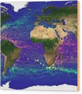 Global Ocean Currents Wood Print