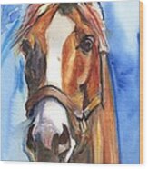 Horse Painting Of California Chrome Go Chrome Wood Print