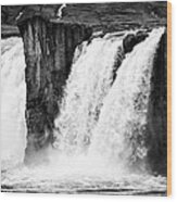 Godafoss Waterfall Iceland Black And White Wood Print