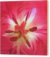 God's Floral Canvas 1 Wood Print