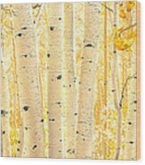 Golden Aspens Utah X100 Wood Print