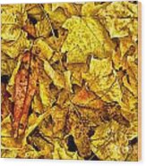 Golden Colors Of Fall Wood Print