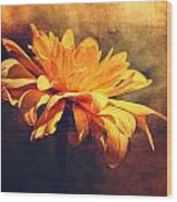 Golden Flower Wood Print