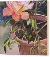 Golden Glow Rose Wood Print