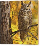 Golden Owl Wood Print