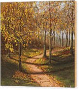 Golden Path Wood Print