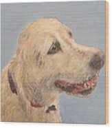 Pet Portrait Of Golden Retriever Maisie Wood Print