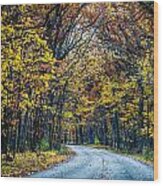 Golden Road Wood Print