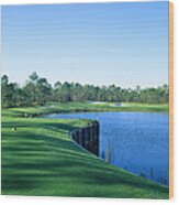 Golf Course At The Lakeside, Regatta Wood Print