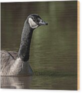 Goose On Pond Wood Print
