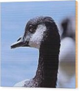 Goose Portrait Wood Print