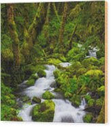 Gorge Greens Wood Print