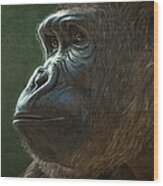 Gorilla Wood Print