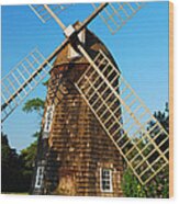 Graceful Windmill Wood Print