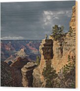 Grand Canyon National Park, Bright Wood Print