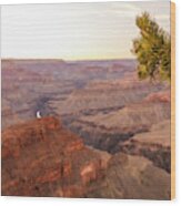 Grand Canyon National Park Landscape Wood Print