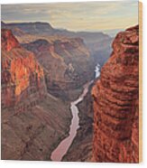 Grand Canyon National Park Wood Print