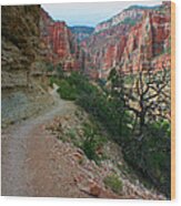 Grand Canyon Or Bust Wood Print