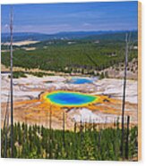 Grand Prismatic Spring 2013 Wood Print