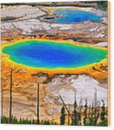 Grand Prismatic Spring Limited Edition Wood Print