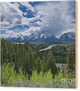 Grand Teton Np Wood Print