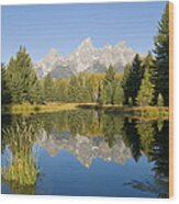 Grand Tetons At Schwabacher Landing Wood Print