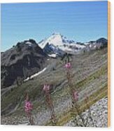 Grant Peak Of Mount Baker Wood Print