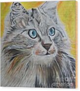 Gray Cat Wood Print