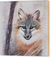 Gray Fox Wood Print