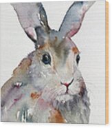 Gray Hare Wood Print
