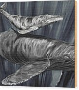 Gray Whales Wood Print