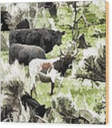Grazing Cattle Wood Print