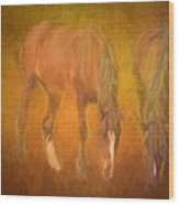 Grazing Horses Wood Print