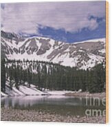 Great Basin National Park Wood Print