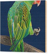 Great-billed Parrot 1 Wood Print