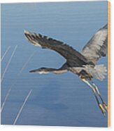 Great Blue Heron And His Shadow Wood Print