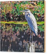 Great Blue Heron At The Pond Wood Print