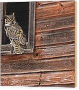 Great Horned Wood Print